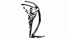 Met gala roach