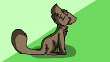 A cat