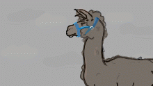 alpaca