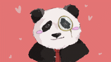 panda contest