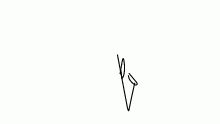 ye