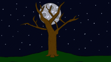 night tree
