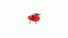 codex tom and berry contest entry