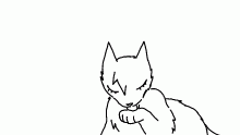kitty